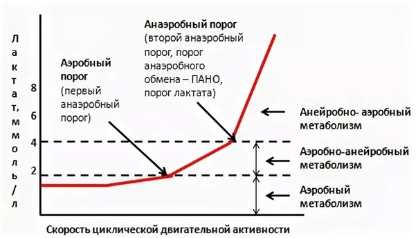 анаэробный порог график